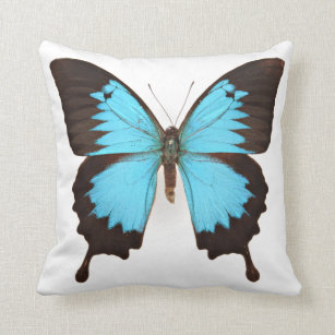 Ulysses Butterfly Throw Pillow