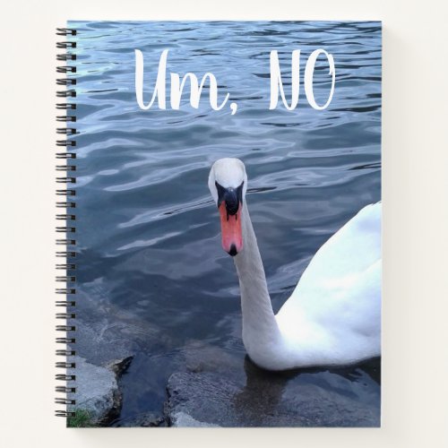 Um No Funny Swan Notebook
