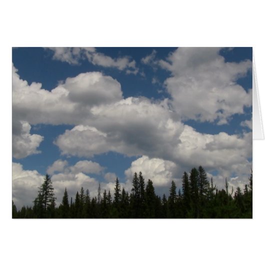 Umatilla Oregon Landscape Skyscape Waterscape Cards (Front Horizontal)