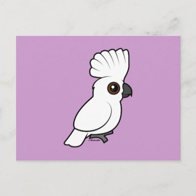 Umbrella Cockatoo (raised) Postcard
