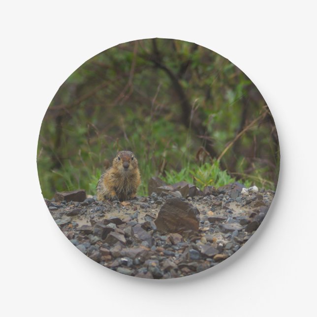 Umbrella Please Paper Plates (Front)