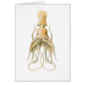 Umbrella Squid (Front)