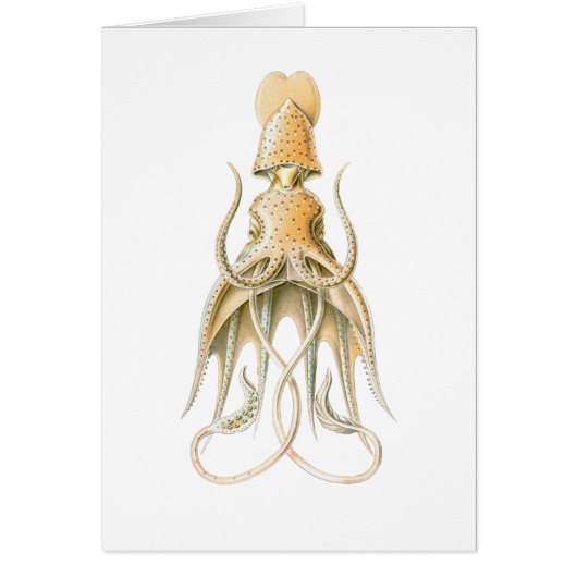 Umbrella Squid Cards (Front)