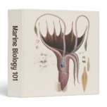 Umbrella Squid, Vintage Marine Life Animals 3 Ring Binder