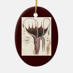 Umbrella Squid, Vintage Marine Life Animals Ceramic Ornament