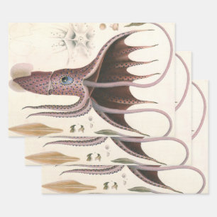 Umbrella Squid, Vintage Marine Life Animals Wrapping Paper Sheets