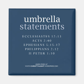 Umbrella Statements Magnet