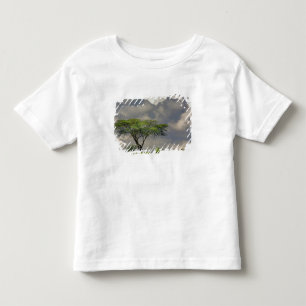 Umbrella Thorn Acacia, Acacia tortilis, and 2 Toddler T-shirt