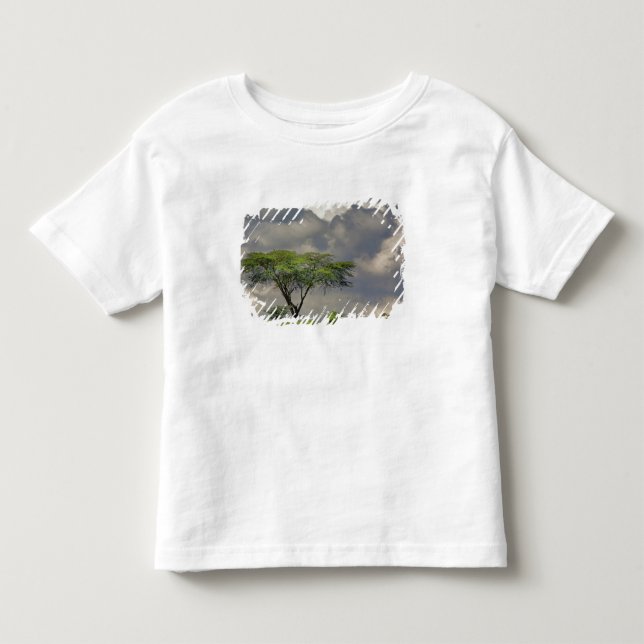 Umbrella Thorn Acacia, Acacia tortilis, and 2 Toddler T-shirt (Front)
