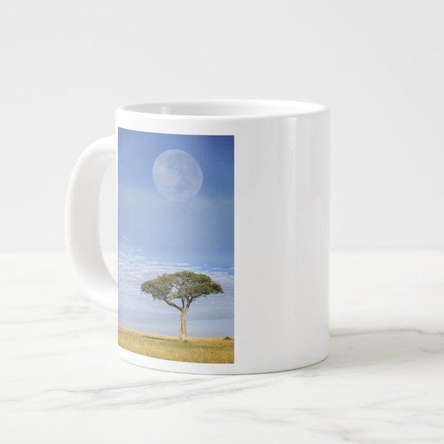 Umbrella Thorn Acacia, Acacia tortilis, and Giant Coffee Mug (Front Left)