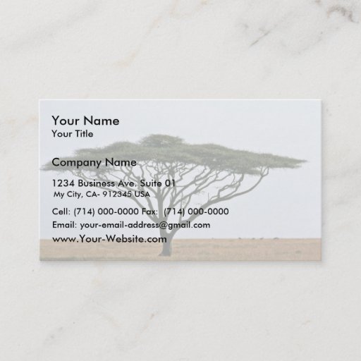 Customizable Umbrella Thorn Acacia Tree Business Cards