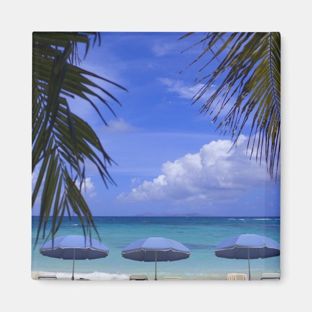 umbrellas on beach, St. Maarten, Caribbean Magnet (Front)