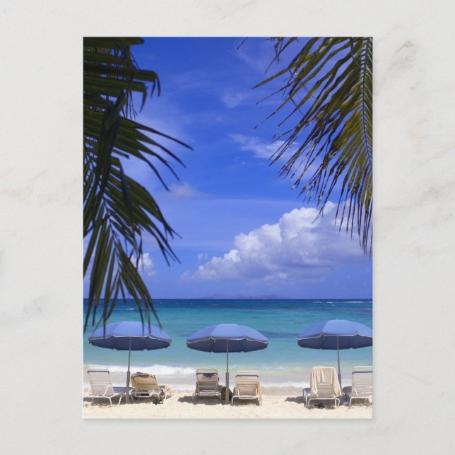 umbrellas on beach, St. Maarten, Caribbean Postcard (Front)