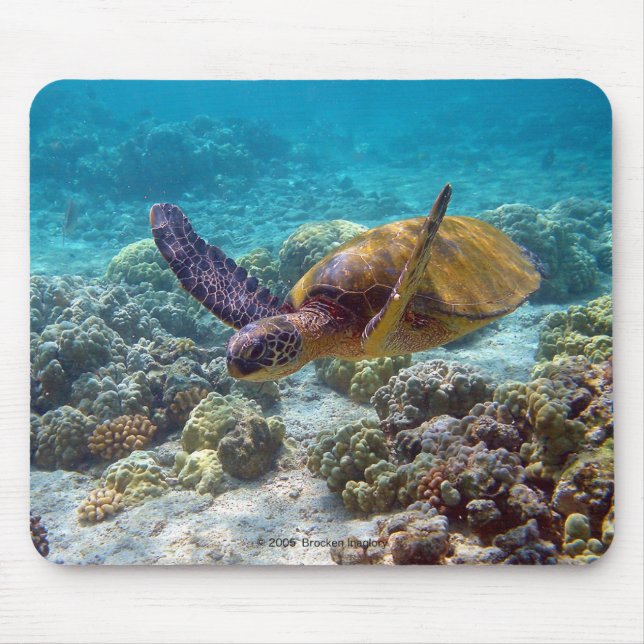 Umigame Mouse Pad (Front)