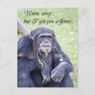 Umm sorry postcard