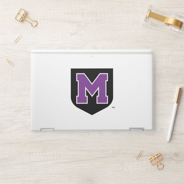 UMU HP LAPTOP SKIN (Desk)