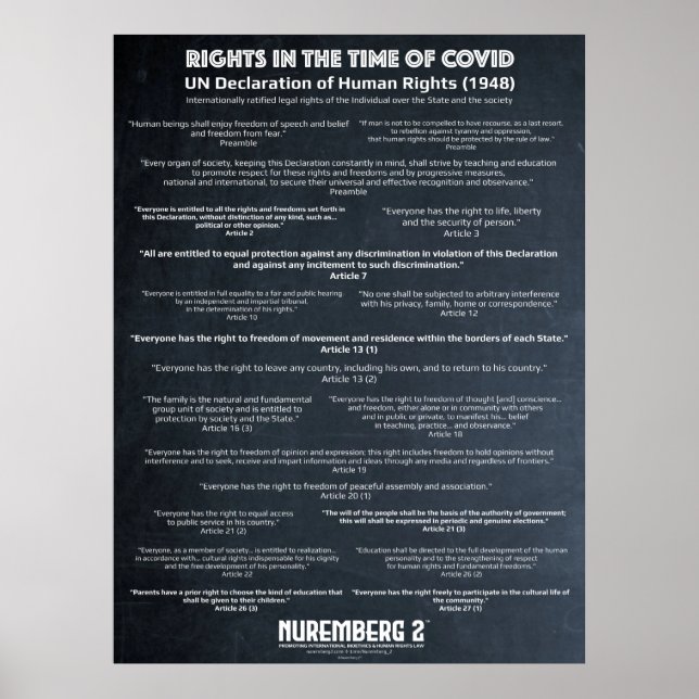 UN Declaration On Human Rights 1948 Large Poster (Front)