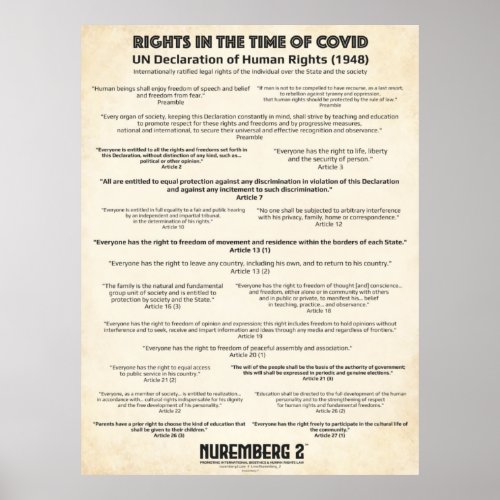 UN Declaration On Human Rights 1948 Large Poster
