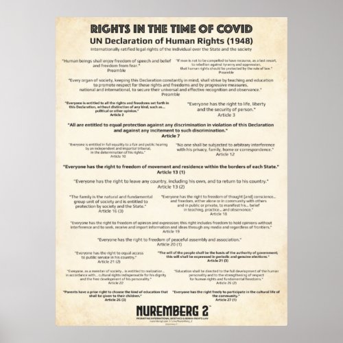 UN Declaration On Human Rights 1948 Medium Poster