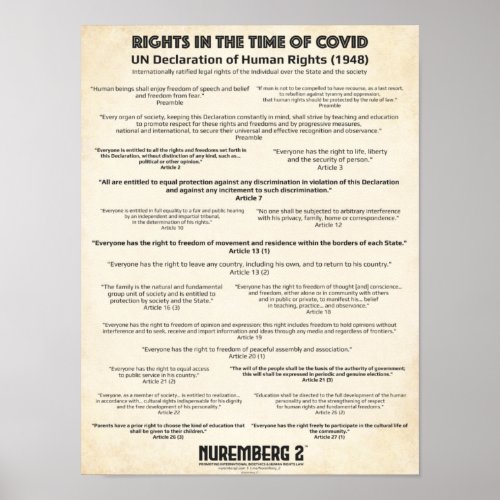 UN Declaration On Human Rights 1948 X Small Poster
