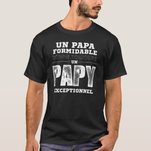 Un Papa Formidable Donne Toujours Un Papy Exceptio T_Shirt