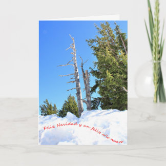 Una escena de invierno para la Navidad. Español. 2 Holiday Card