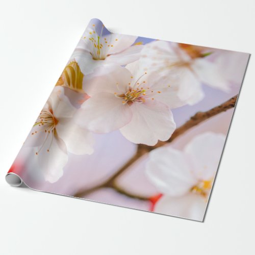 Unbelievable Beauty Of Sakura Flowers Wrapping Paper