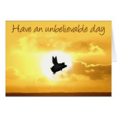 unbelievable day-flying pig (Front Horizontal)