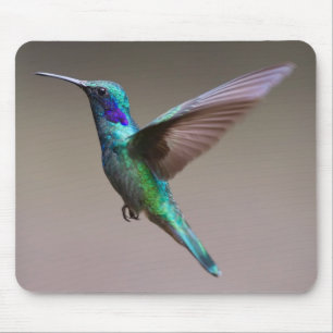 Unbelievably Beautiful and Colorful Hummingbird Mouse Pad