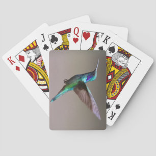 Unbelievably Beautiful and Colorful Hummingbird Poker Cards