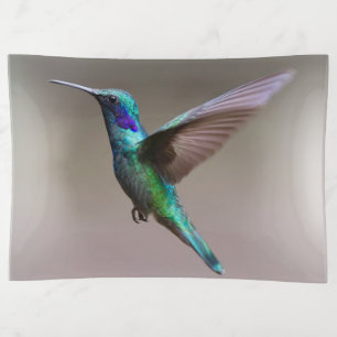 Unbelievably Beautiful and Colorful Hummingbird Trinket Tray
