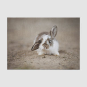 Unbelievably Cute Bunny Rabbit With Raised Ear Tissue Paper