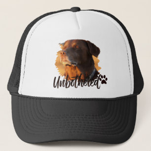 Unbothered Golden Hour Dog – Premium Minimalist Trucker Hat
