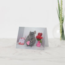 Uncertain chinchilla valentine