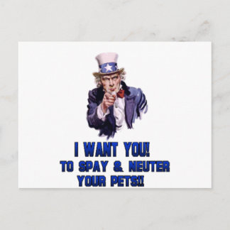 uncle sam blue postcard