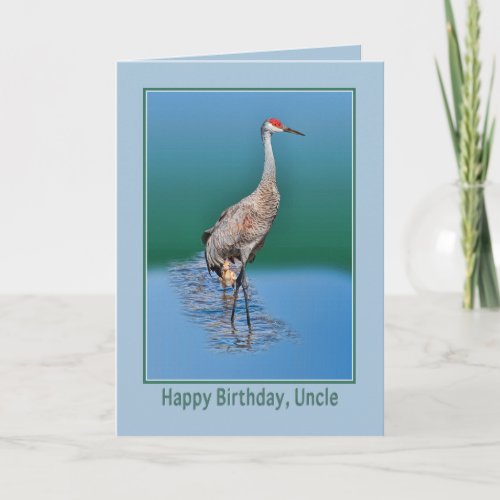 Uncle's Birthday Card with Baby Sandhill Crane