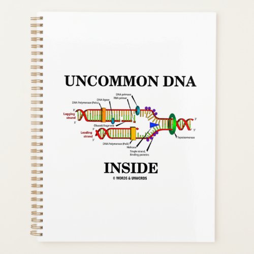 Uncommon DNA Inside DNA Replication Planner