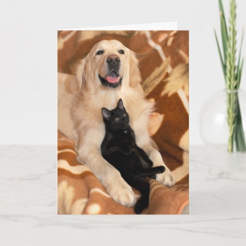Unconditional Friendship Friends Dog  Cat Card
