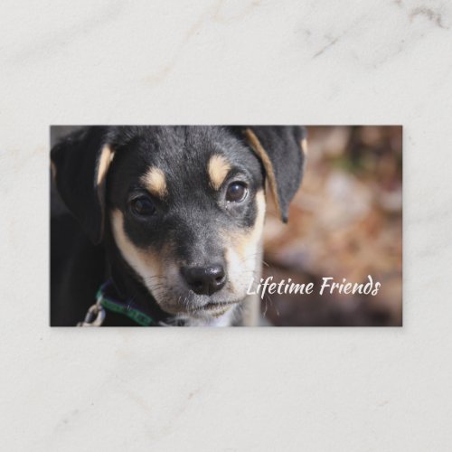 Unconditional Love Animal Shelter Business Card