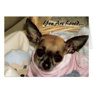 Unconditional Love Cards