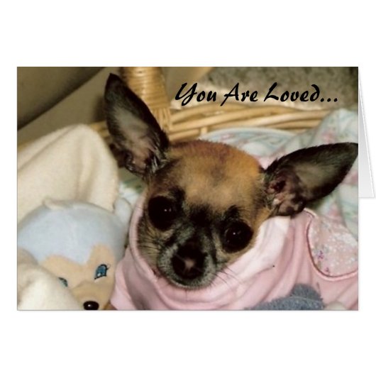 Unconditional Love Cards (Front Horizontal)
