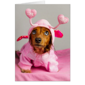 Unconditional Love Cards
