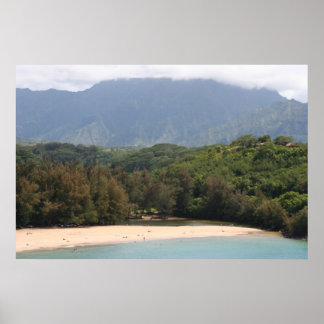 Uncrowded Beach, Kauai, Hawaii Poster