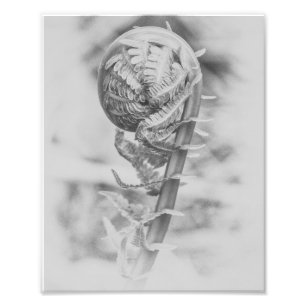 Uncurling Woodland Fern Black and White Print 2