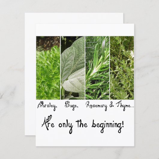 undefined (Front/Back)