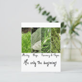 undefined (Standing Front)