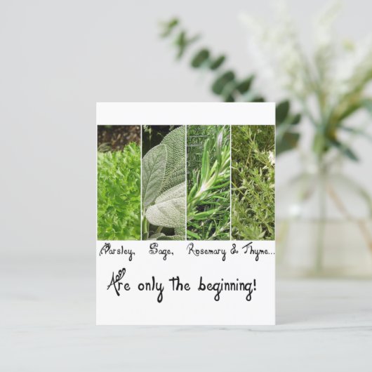 undefined (Standing Front)