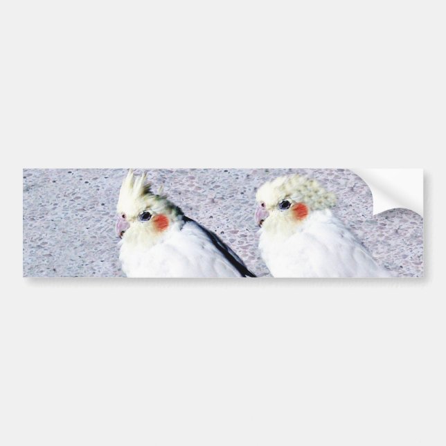 undefined bumper sticker (Front)