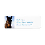 undefined label