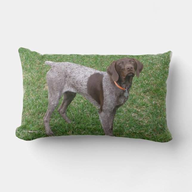 undefined lumbar pillow (Front)